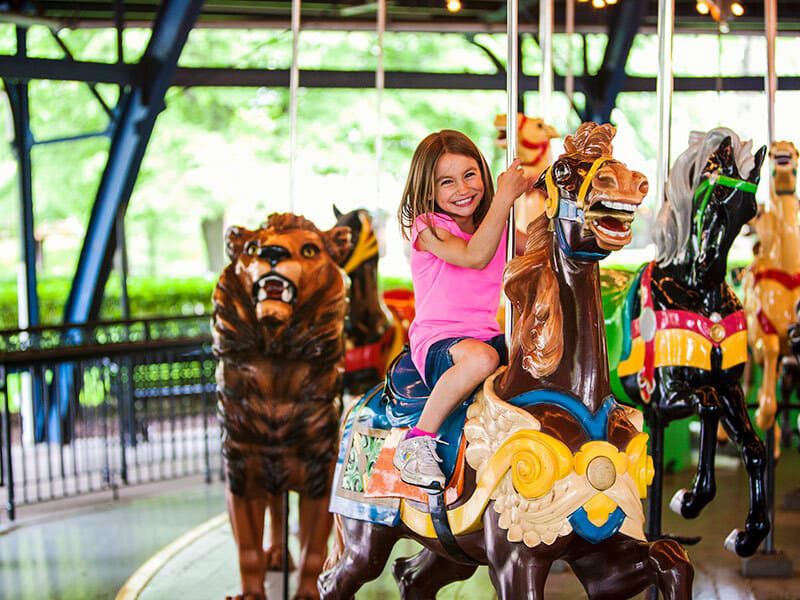 Merry-Go-Round