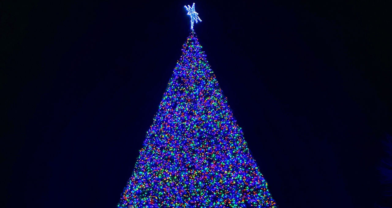 Top 8 Reasons You Need to Visit Kennywood's Holiday Lights in 2022