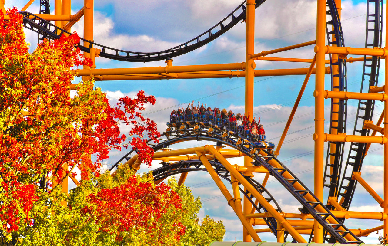 Steel Curtain with autumn leaves