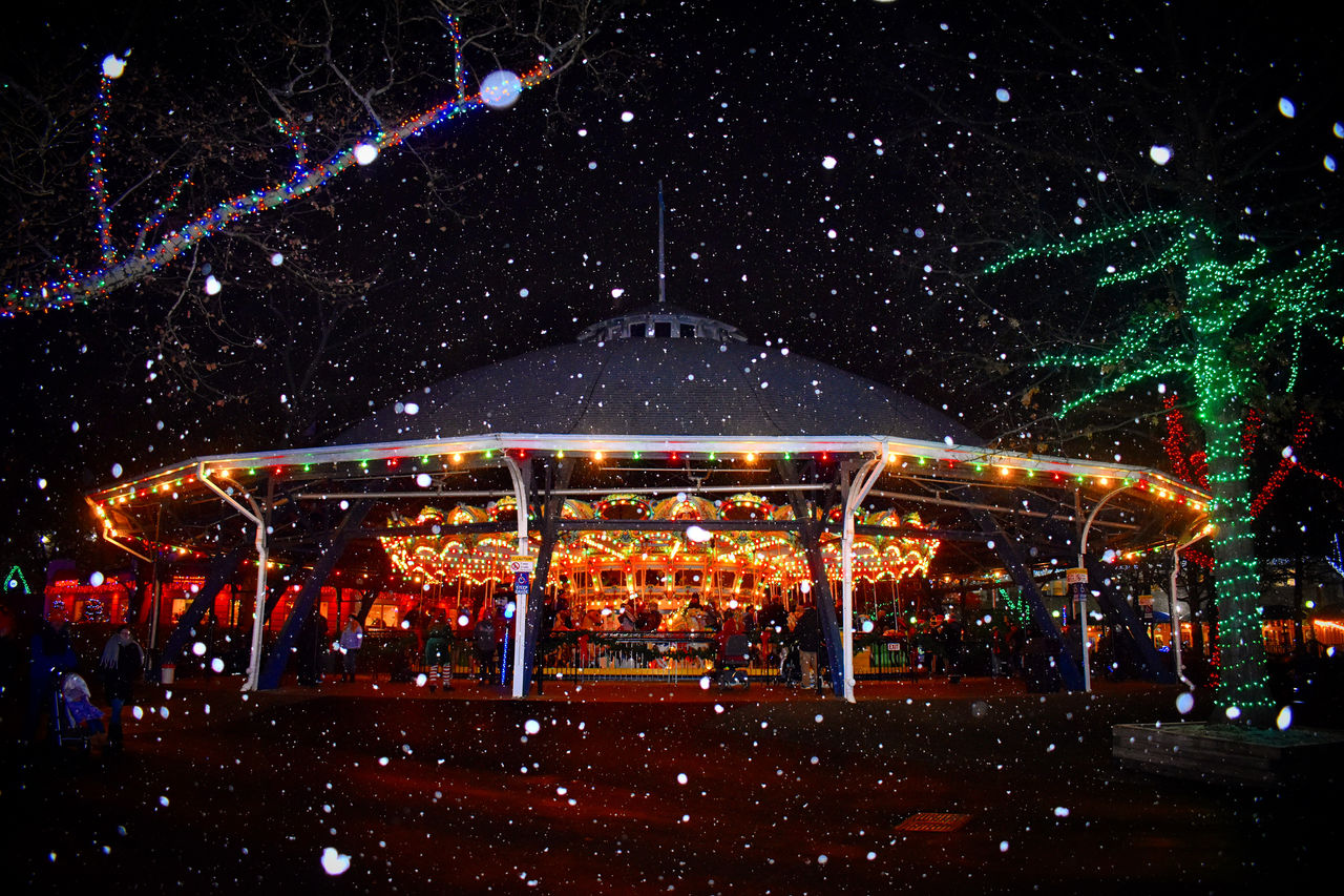 Snowy Merry-Go-Round