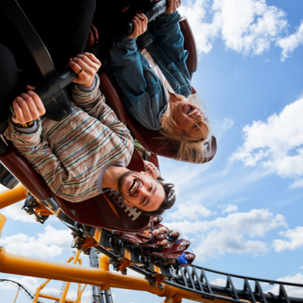 Steel Curtain Now Open