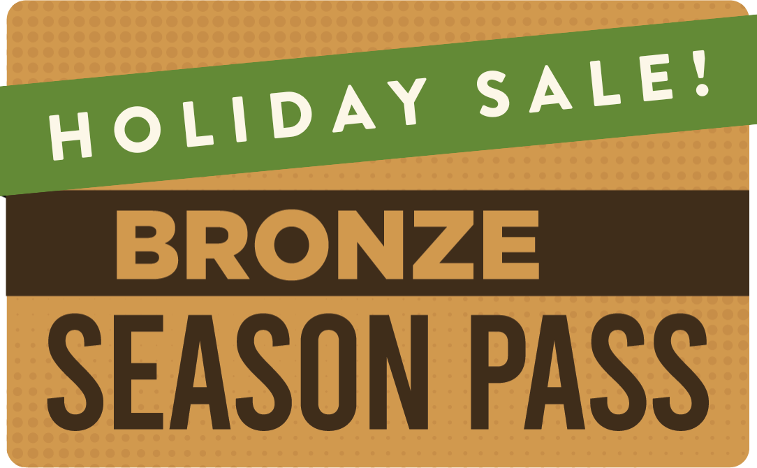 Opening Sale Silver Season Pass