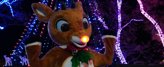 2025 Events - Holiday Lights