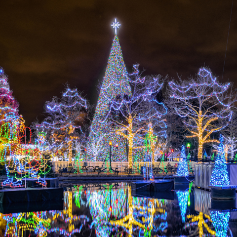 Tree Lighting Ceremony