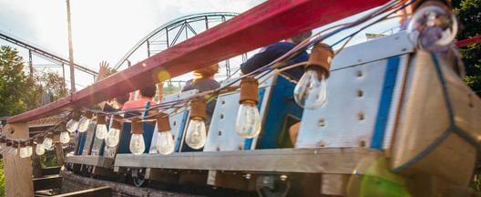 Discover the Park Services